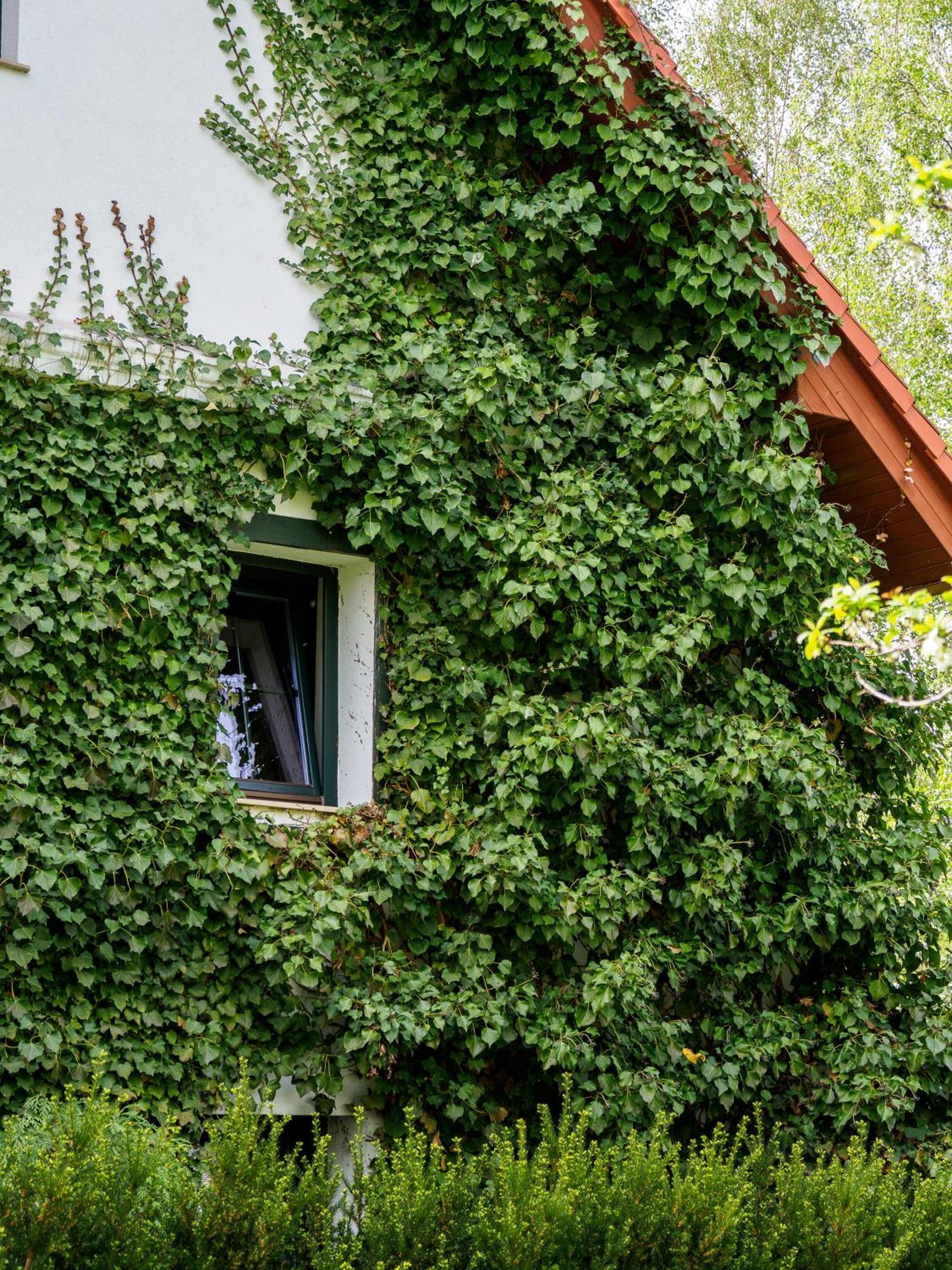 Hotel Plonica 1 Złoty Stok Exterior foto