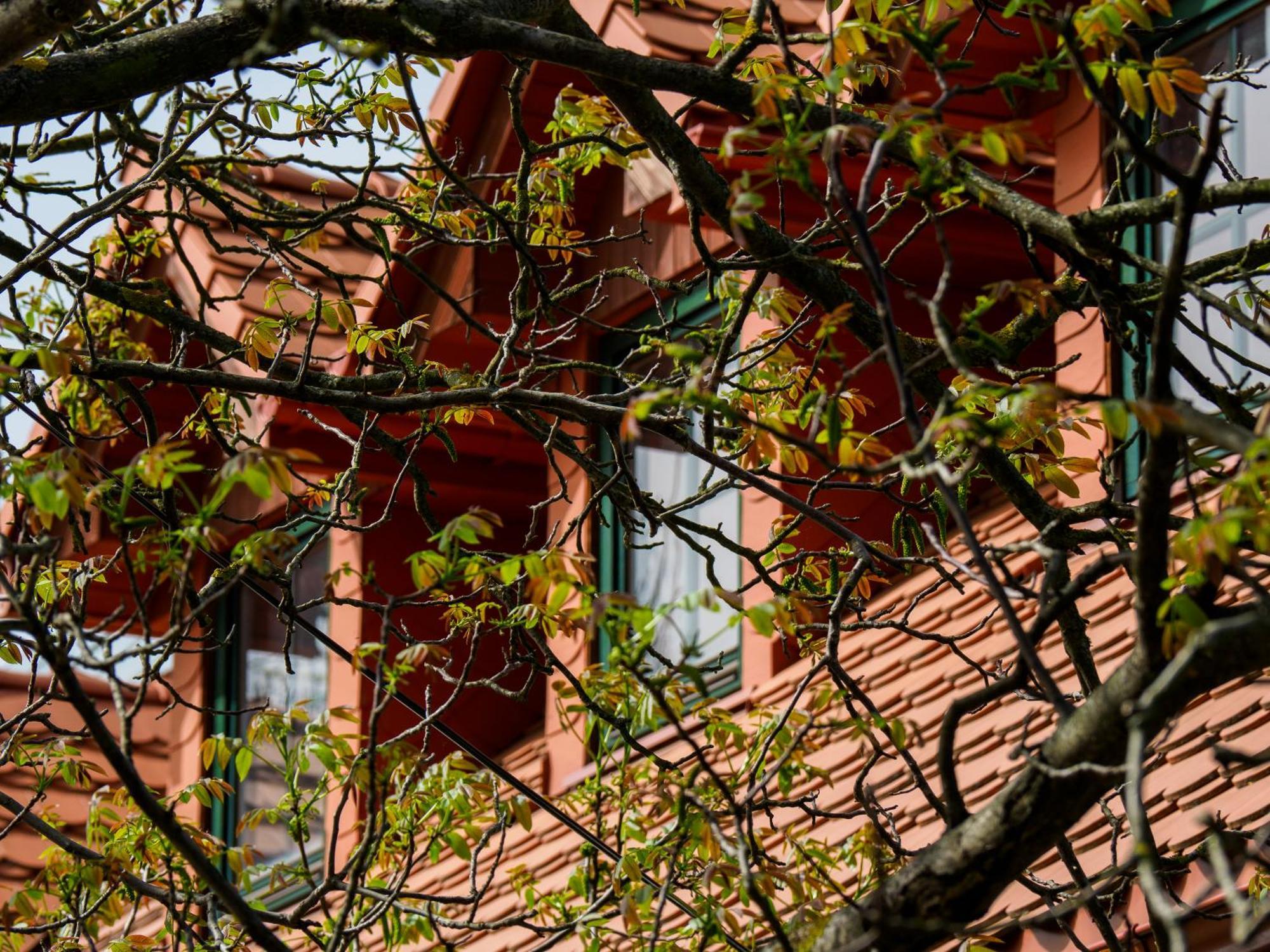 Hotel Plonica 1 Złoty Stok Exterior foto